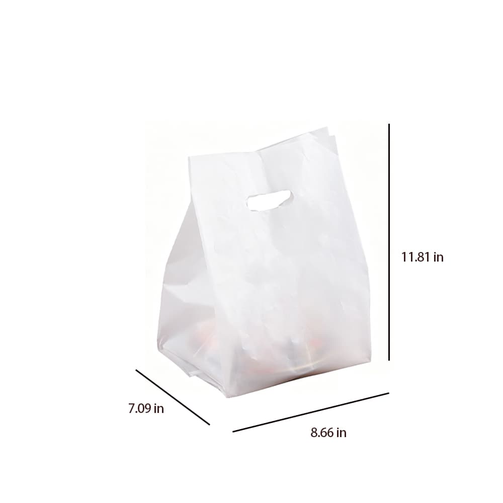 Plastic Frosted Merchandise Bags gallery 1
